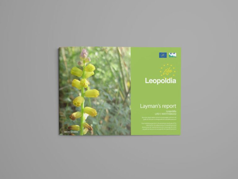 Layman Report progetto Leopoldia Life+